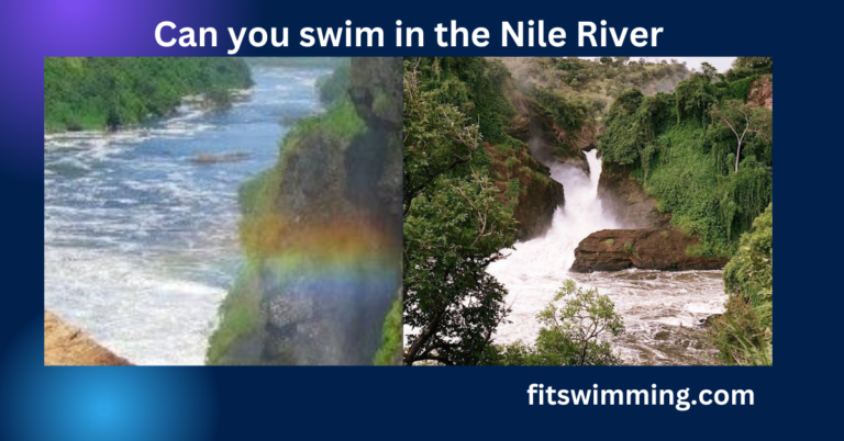 Can You Swim in the Nile River? Dangers