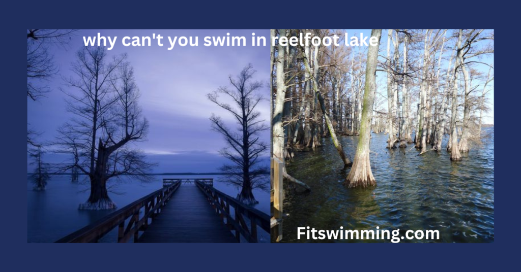 Why Can't You Swim in Reelfoot Lake? Environmental Concerns