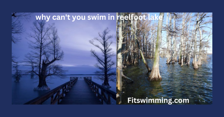 Why Can’t You Swim in Reelfoot Lake? Environmental Concerns