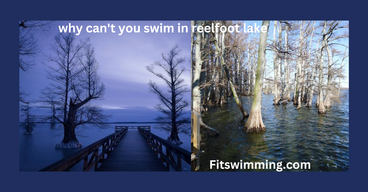 Why can't you swim in reelfoot lake