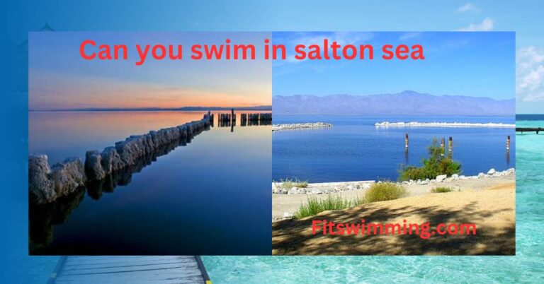 Can You Swim in Salton Sea Risks and Wonders