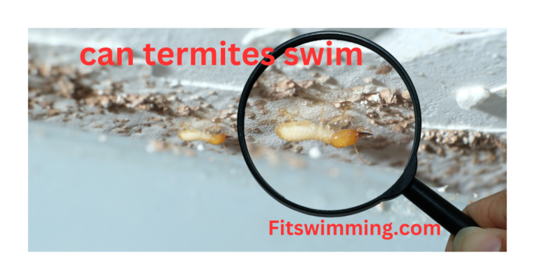 Can Termites Swim? Exploring Termite Behavior in Water