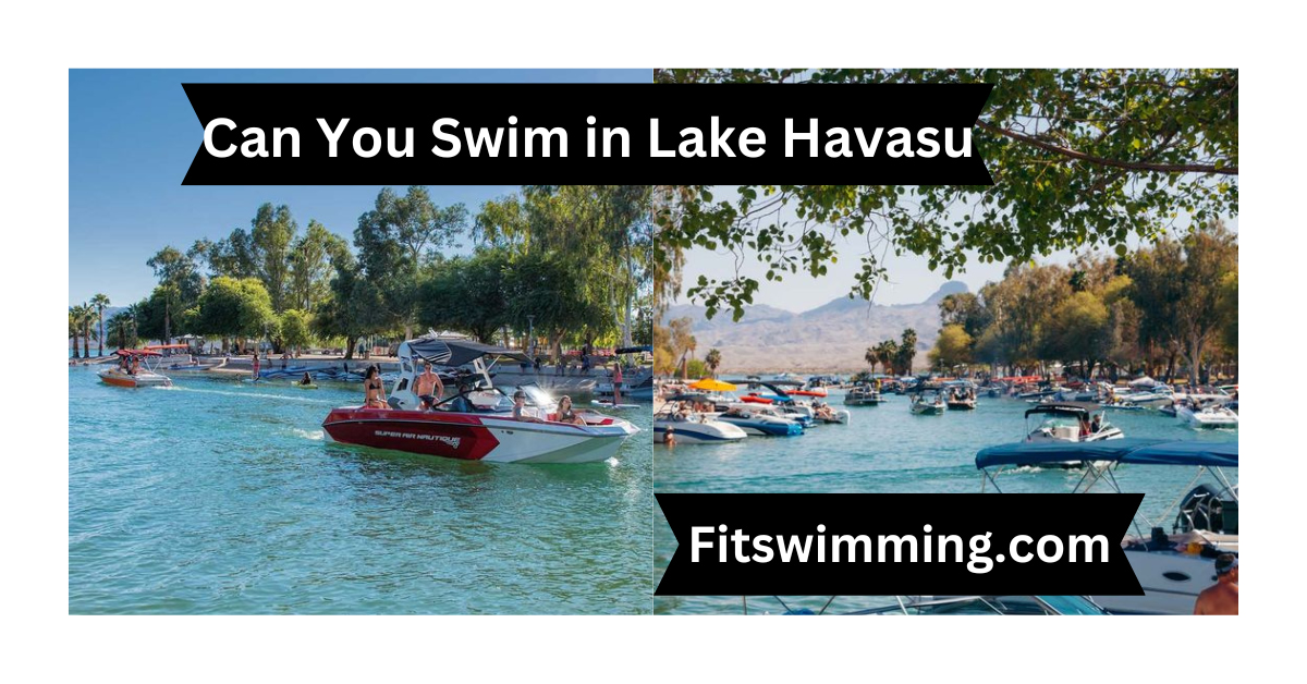 Can You Swim in Lake Havasu