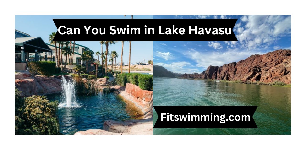 Can You Swim in Lake Havasu? Is it safe to swim in Lake Havasu? Fit