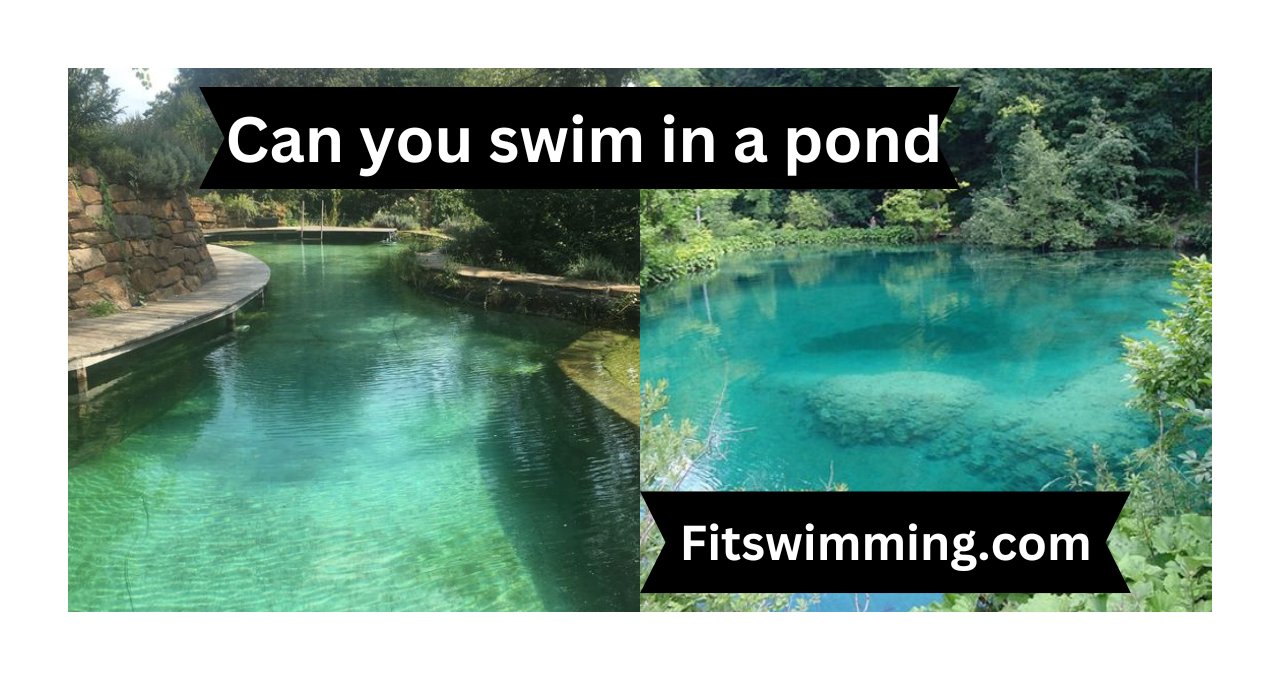 Can-you-swim-in-a-pond