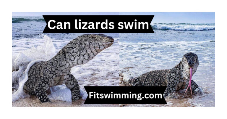 Can Lizards Swim? Do All Lizards Swim? A Guide