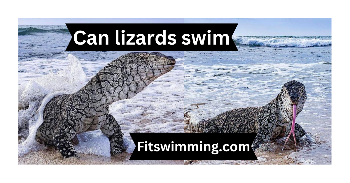 can lizards swim