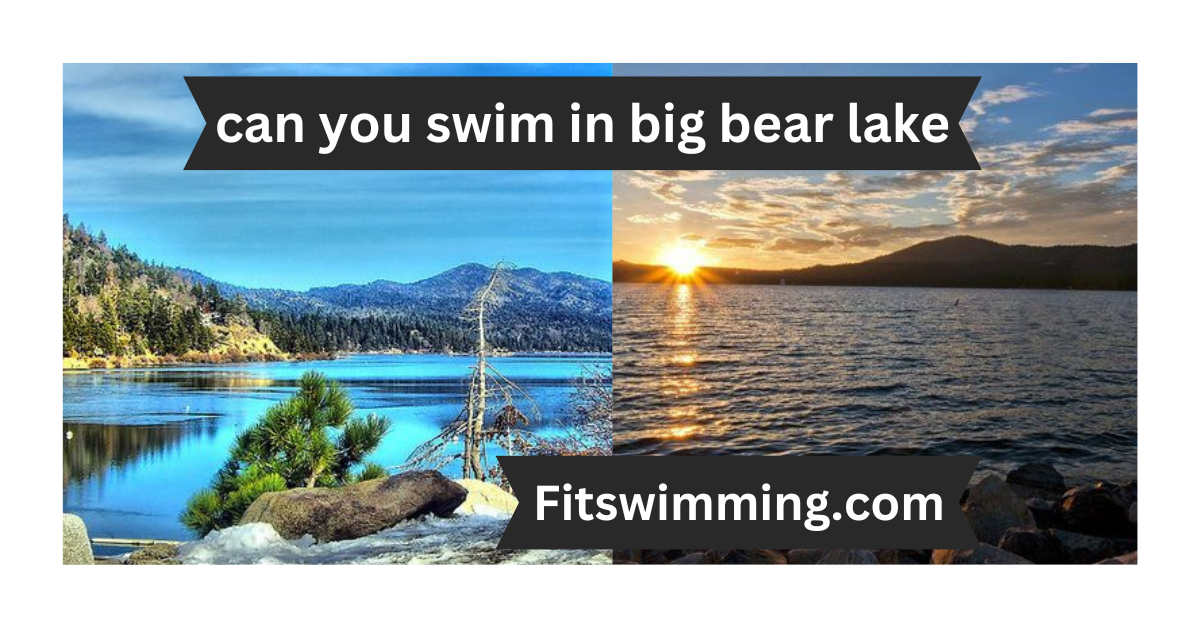 Can You Swim in Big Bear Lake