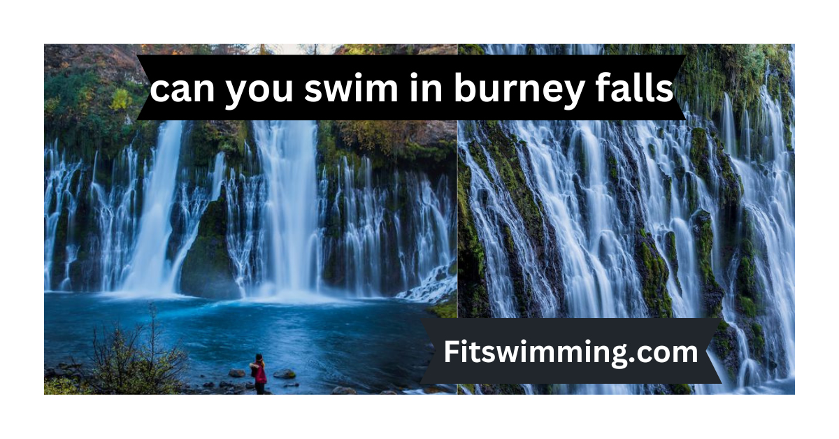 can you swim in burney falls