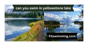Can You Swim in Yellowstone Lake