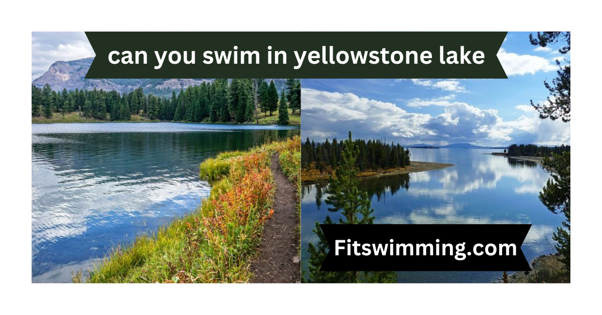 Can You Swim in Yellowstone Lake