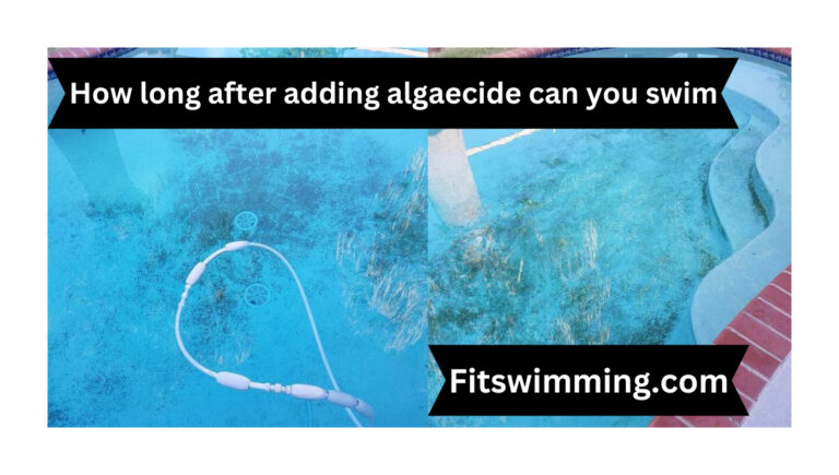 How Long After Adding Algaecide Can You Swim? A Guide