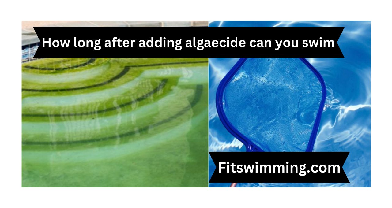 how-long-after-adding-algaecide-can-you-swim