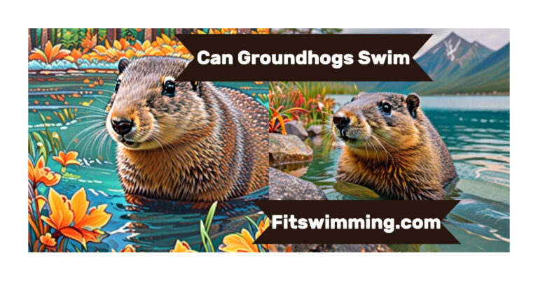 Can Groundhogs Swim? Can They Really Swim?