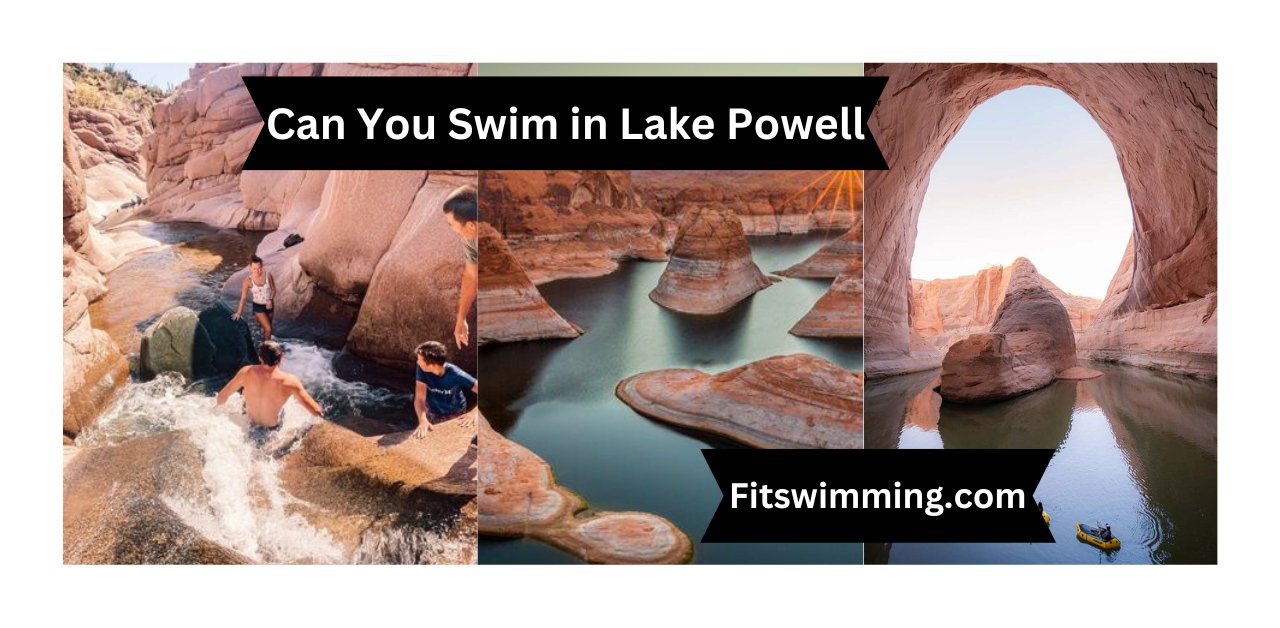 Can You Swim in Lake Powell? Exploring the Waters Fit Swimming