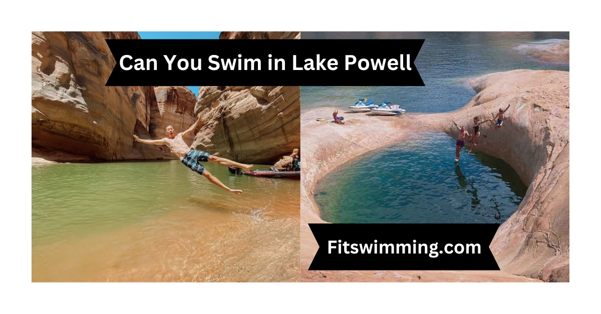 Can You Swim in Lake Powell