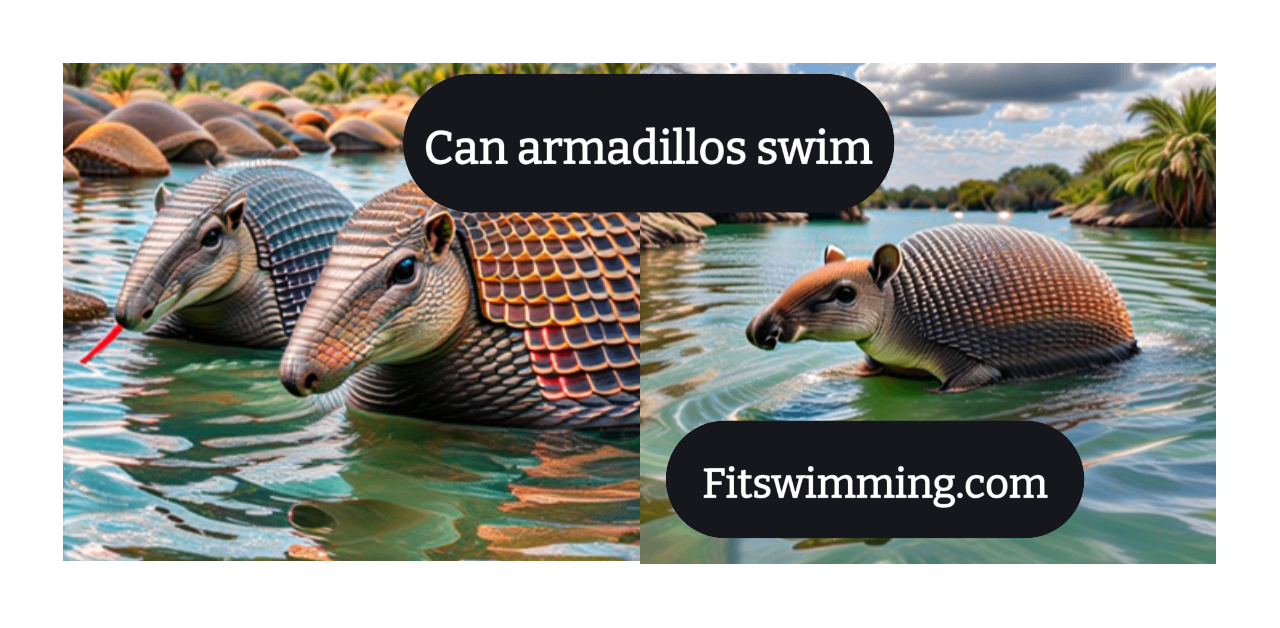 Can Armadillos Swim? Aquatic Adventures of Armored Animals - Fit Swimming