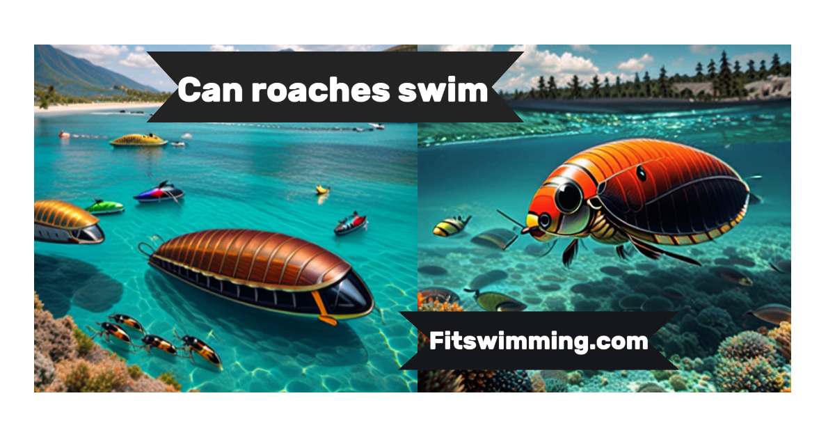 Can Roaches Swim