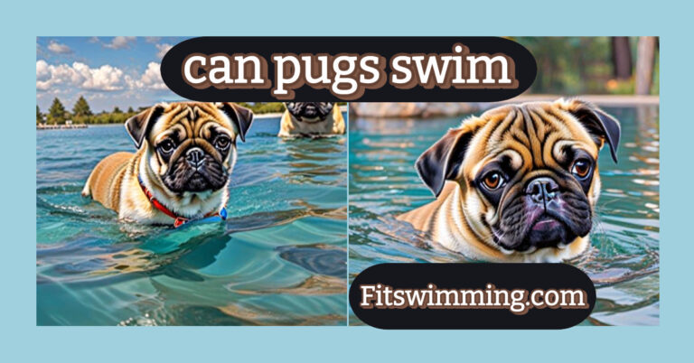 Can Pugs Swim? Tips for Introducing Your Pug to Water