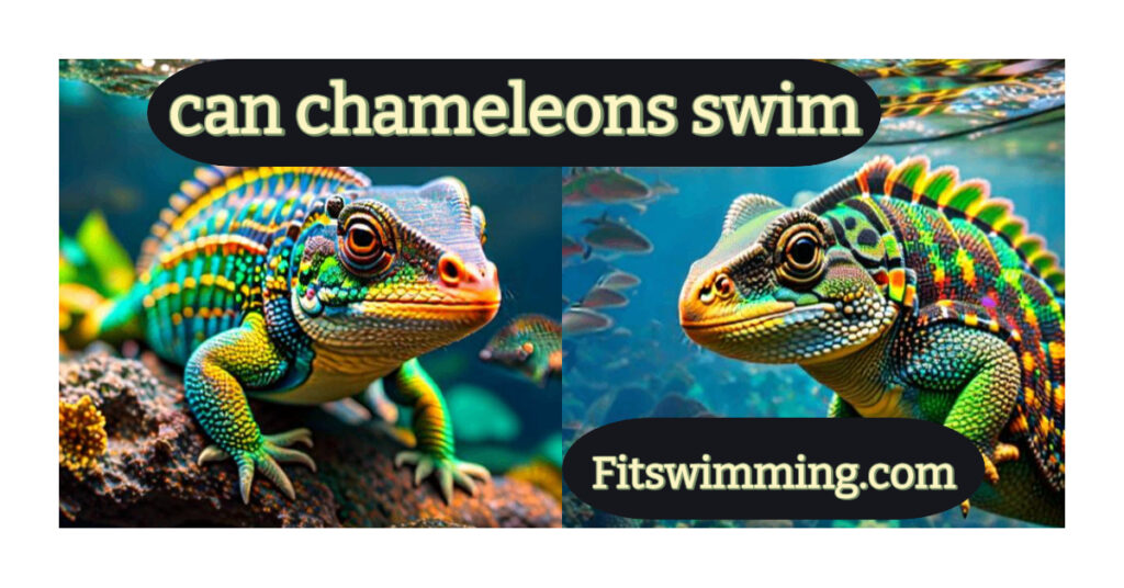 Can Chameleons Swim? Amazing Facts - Fit Swimming