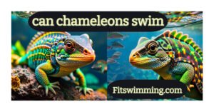 can chameleons swim