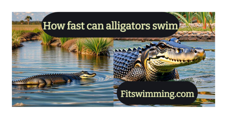 How Fast can Alligators Swim? Amazing Facts