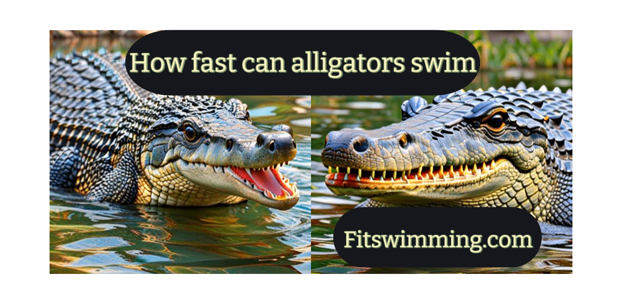 How Fast can Alligators Swim? Amazing Facts - Fit Swimming