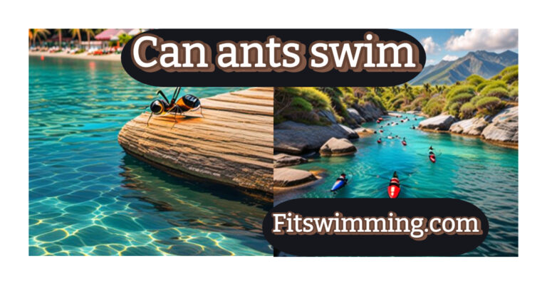 Can Ants Swim? Interesting Facts