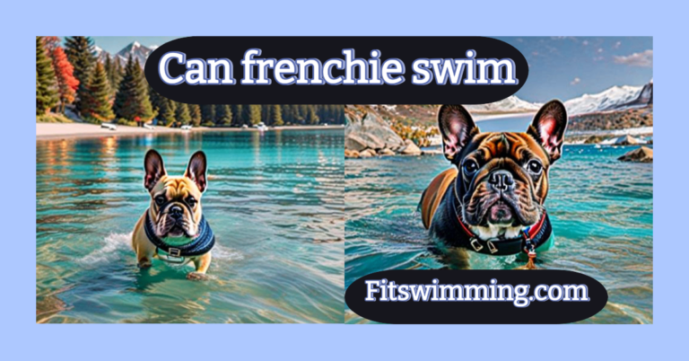 Can French Bulldogs Swim? Water Adventures with Your Frenchie