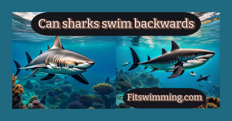 Can Sharks Swim Backwards? Amazing Facts