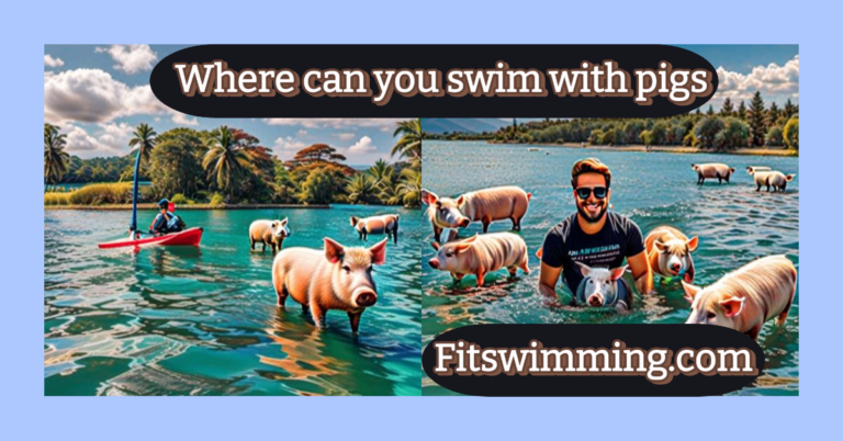 Where Can You Swim with Pigs? 2024 Guidelines