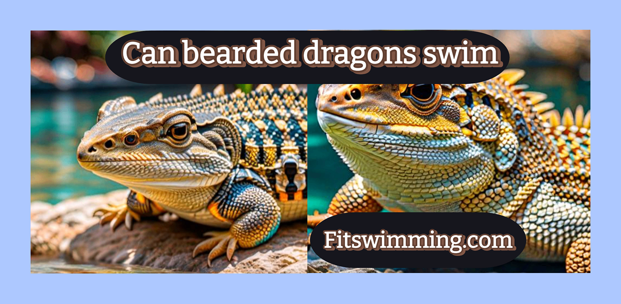 Can Bearded Dragons Swim? Understanding Their Aquatic Abilities - Fit ...