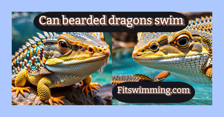 Can Bearded Dragons Swim? Understanding Their Aquatic Abilities