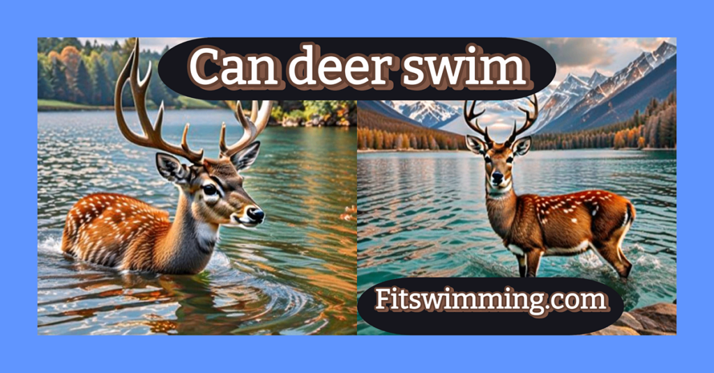 Can deer swim