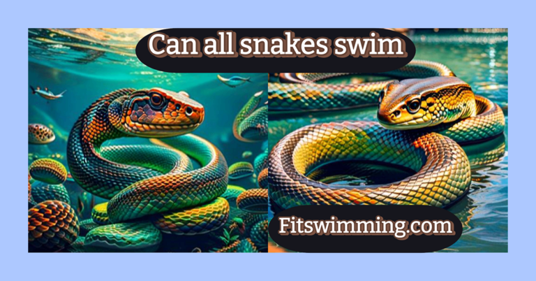 Can All Snakes Swim? Aquatic Abilities of Our Slithery Friends