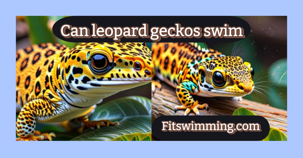 Can leopard geckos swim