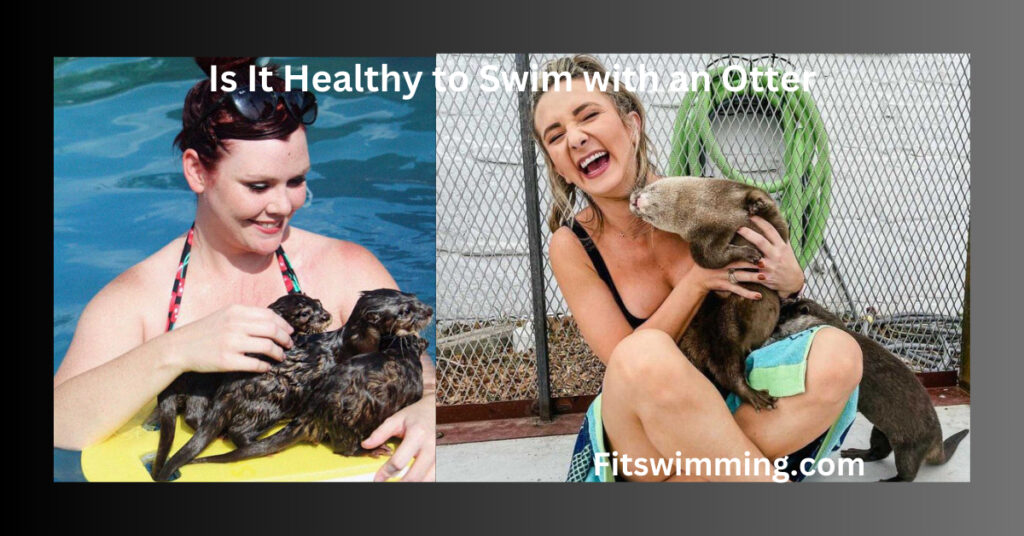 Is It Healthy to Swim with an Otter