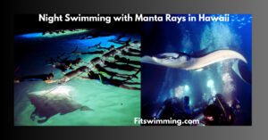 Night Swimming with Manta Rays Hawaii