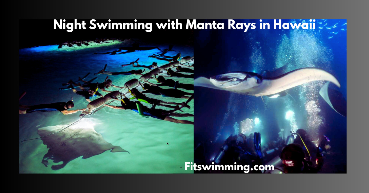 Night Swimming with Manta Rays Hawaii